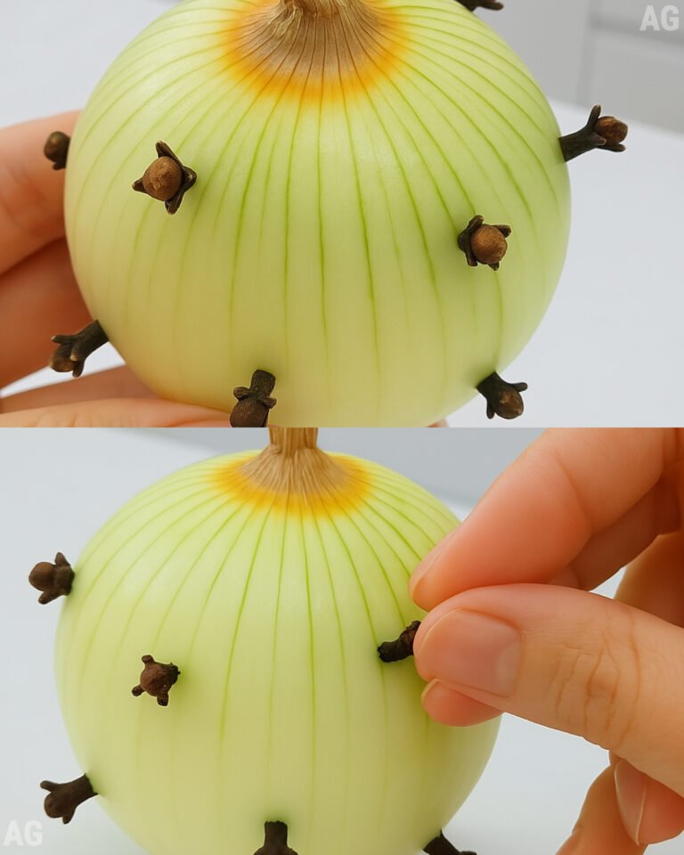 Cravo na cebola