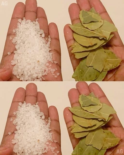 Louro e sal: uma mistura que vale ouro