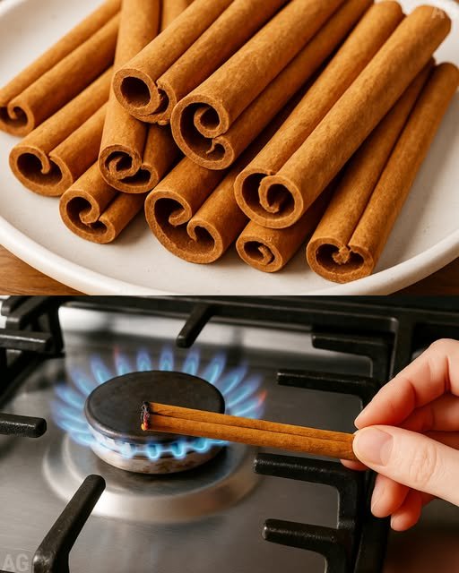 Queime um pau de canela em casa