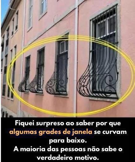 Muita gente acha que é pra decoração mas não é