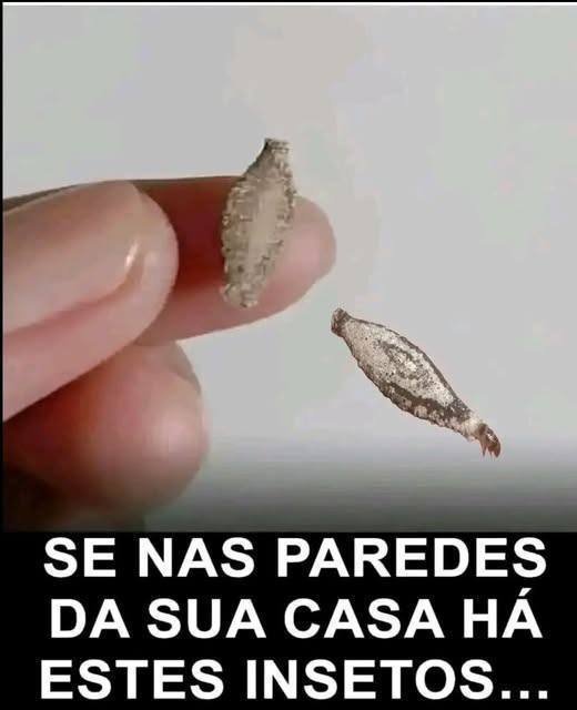 Eu não sabia que era por esse motivo