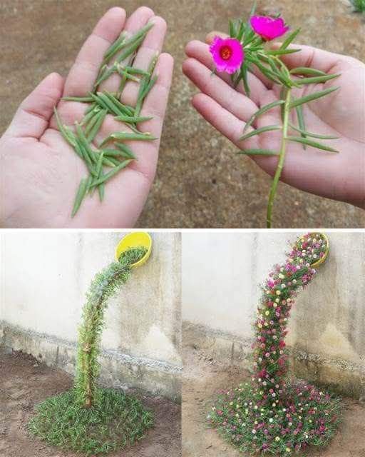 Poucas PESSOAS conhecem esse TRUQUE com a ONZE HORAS – Aprenda e se ENCANTE